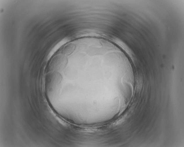 X0000084021290200703022047