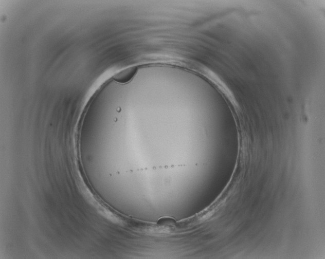 X0000084021291200703022047