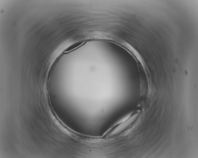 X0000084021293200703022047