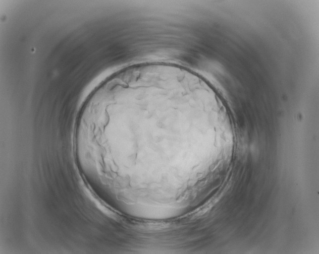 X0000084021294200703022047