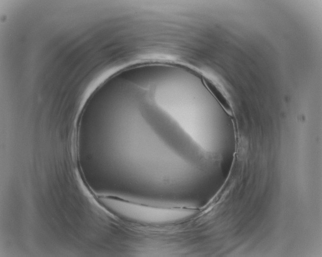 X0000084021295200703022047