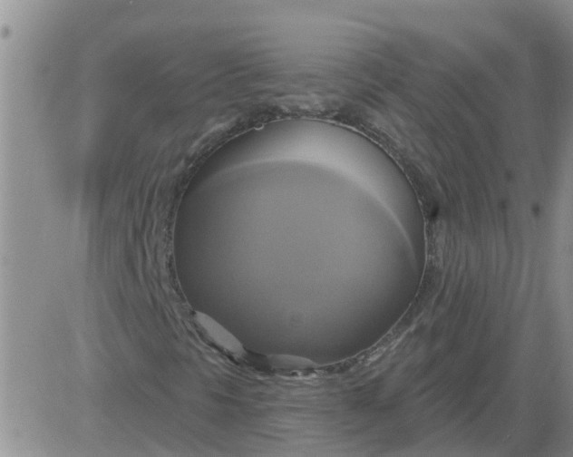 X0000084021297200703022046