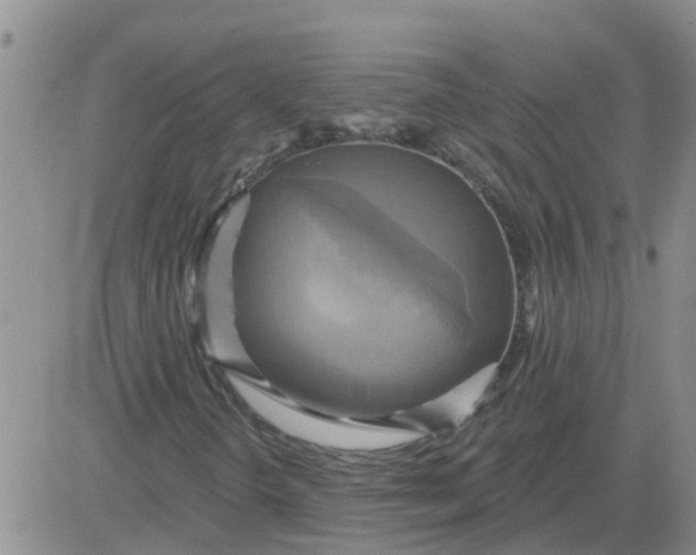 X0000084021298200703022046