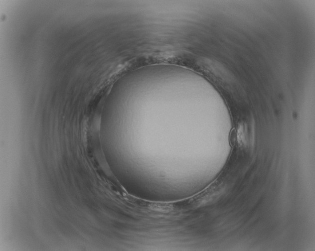 X0000084021299200703022046