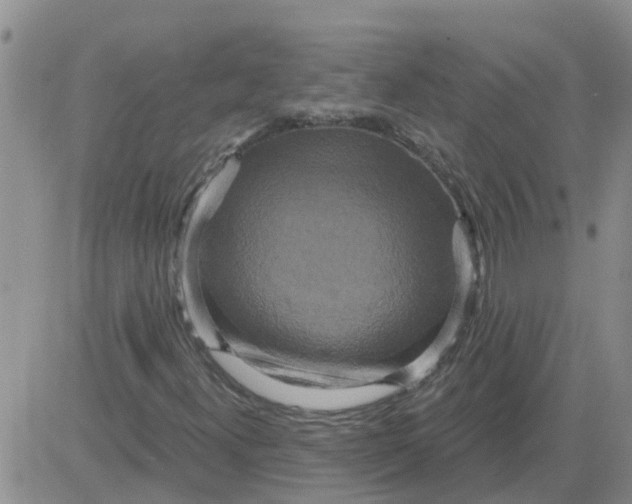 X0000084021300200703022046