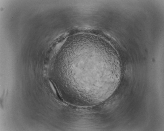 X0000084021301200703022046