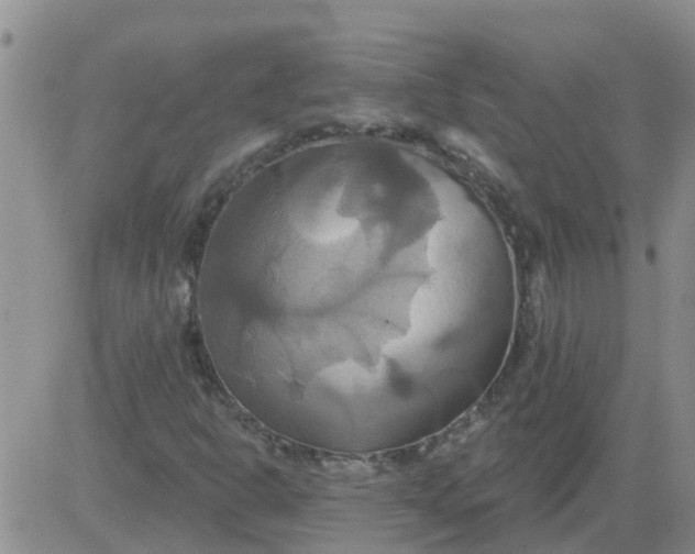 X0000084021302200703022046