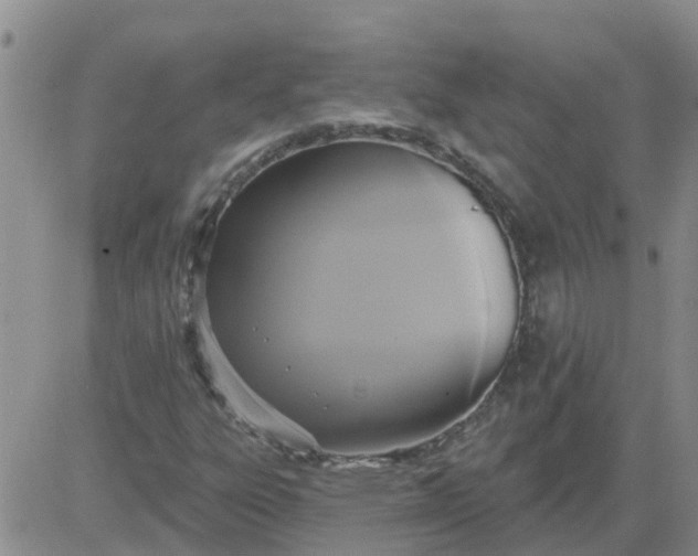 X0000084021303200703022046