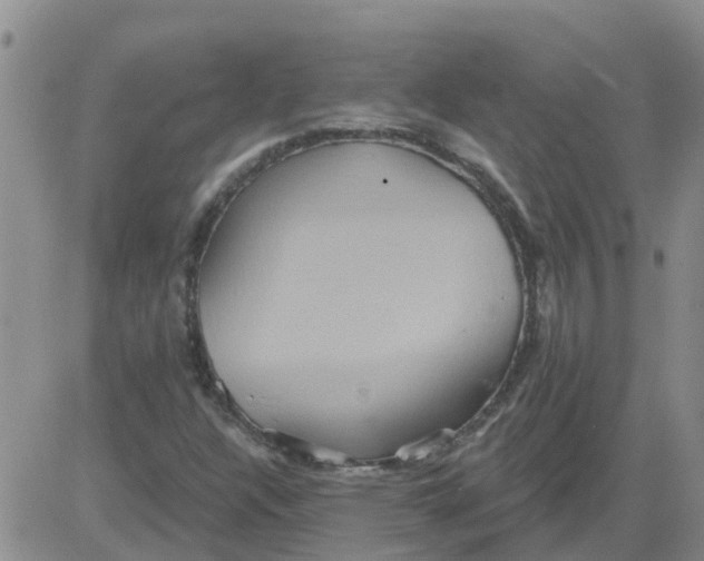 X0000084021304200703022046