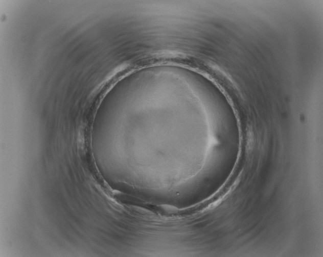 X0000084021305200703022046