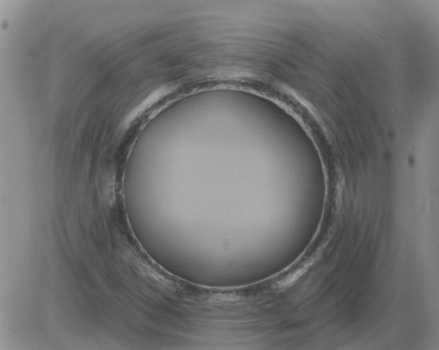 X0000084021306200703022046