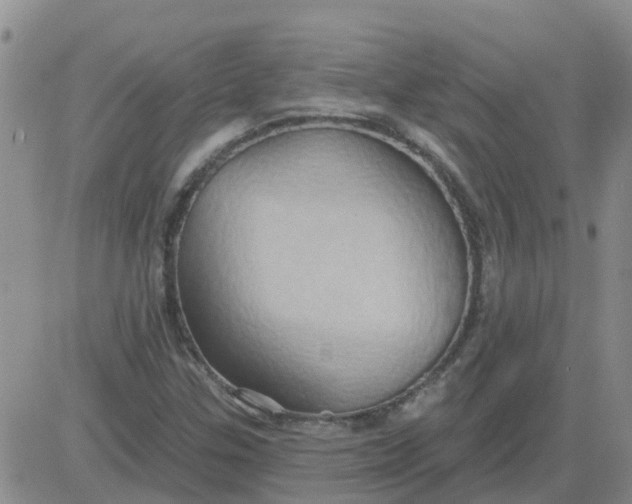 X0000084021307200703022047