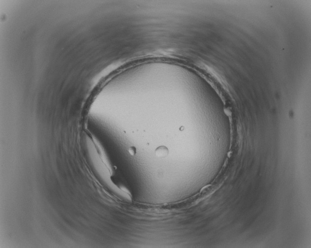 X0000084021308200703022047