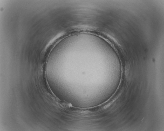 X0000084021309200703022047