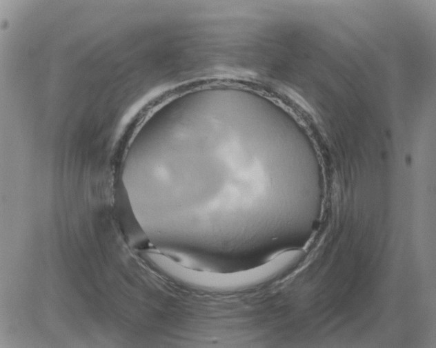 X0000084021310200703022047