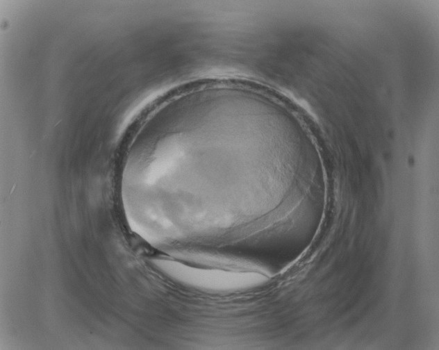 X0000084021311200703022047