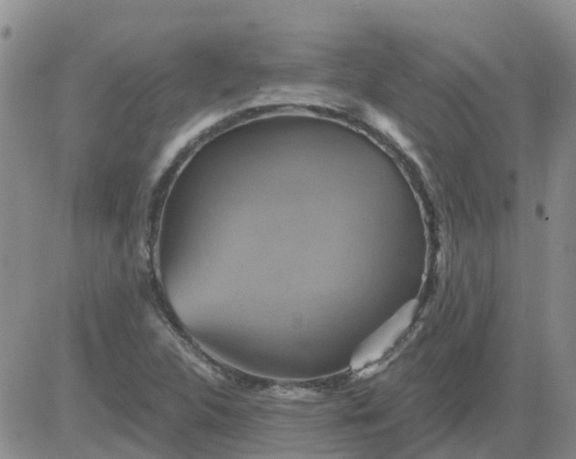 X0000084021312200703022047