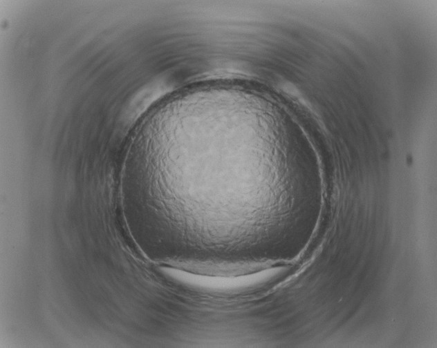 X0000084021313200703022047