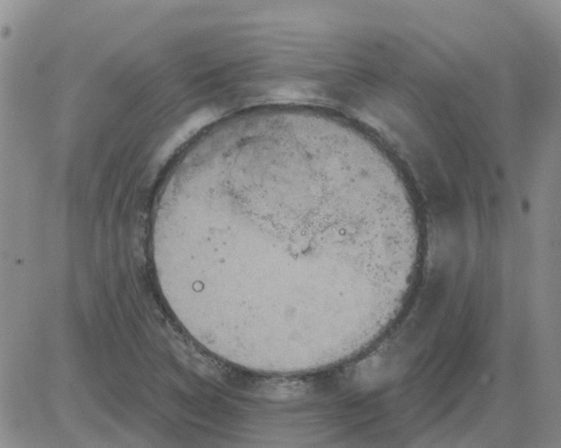 X0000084021314200703022047