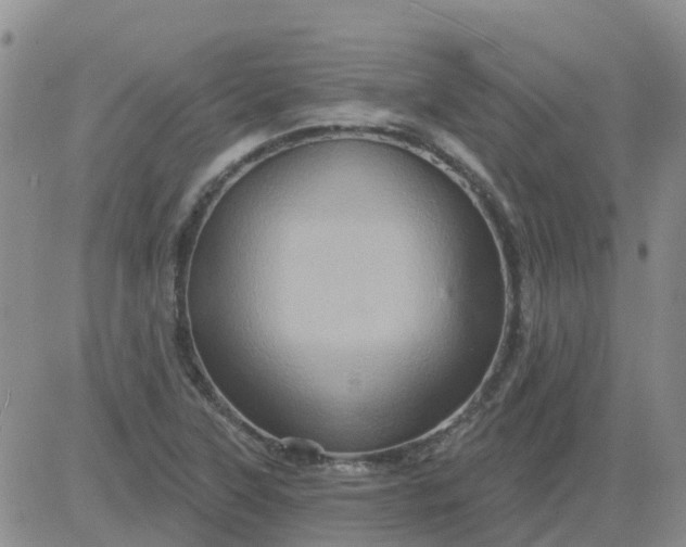 X0000084021315200703022047