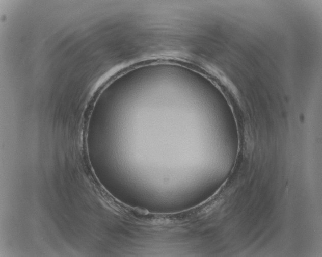 X0000084021316200703022047