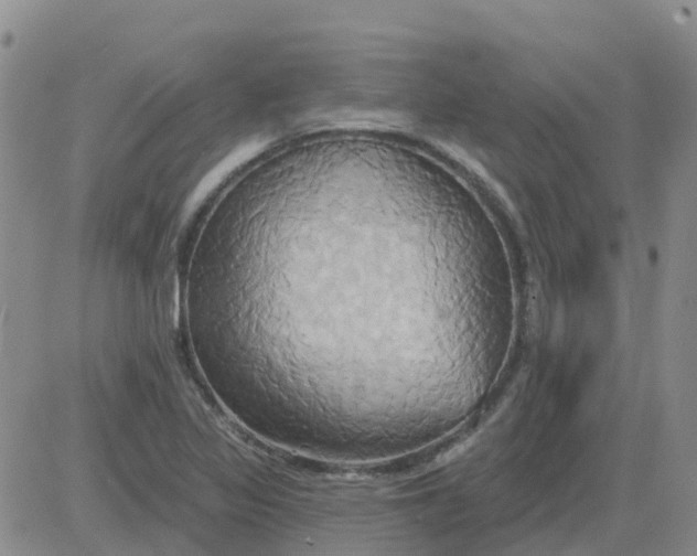 X0000084021317200703022047