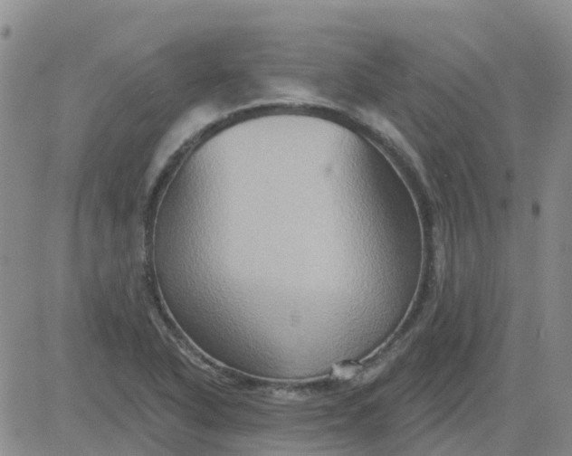 X0000084021318200703022047