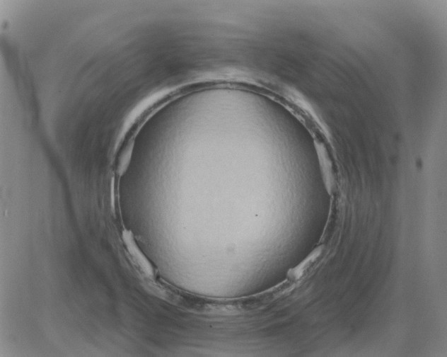 X0000084021320200703022047