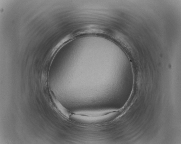 X0000084021321200703022047