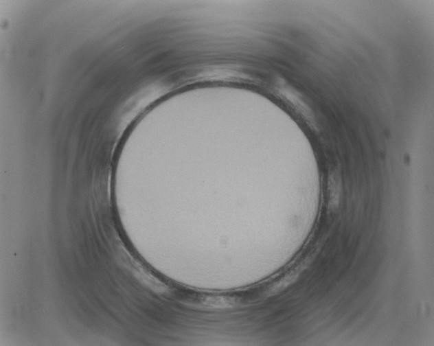 X0000084021322200703022047