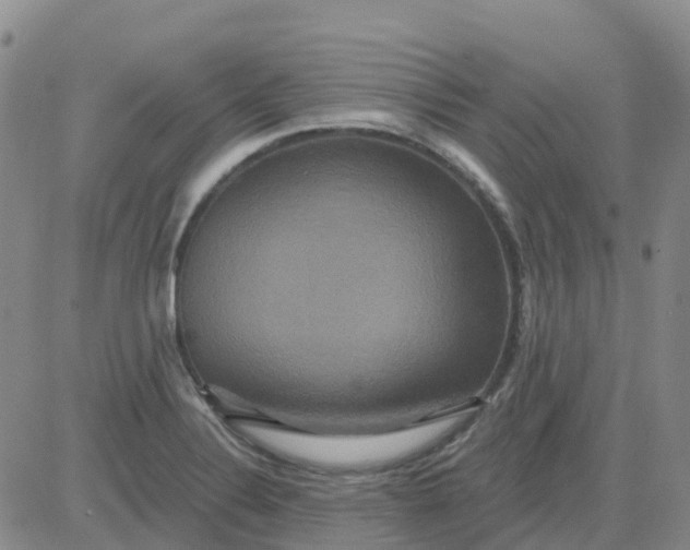 X0000084021324200703022047