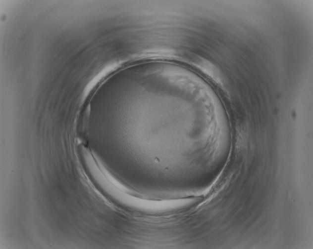 X0000084021325200703022047