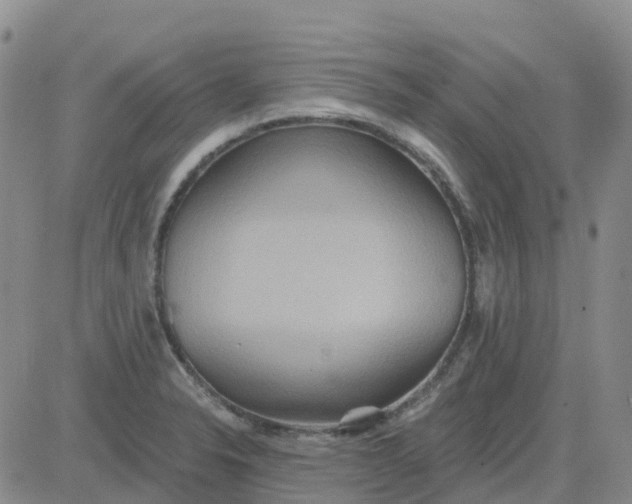 X0000084021326200703022047