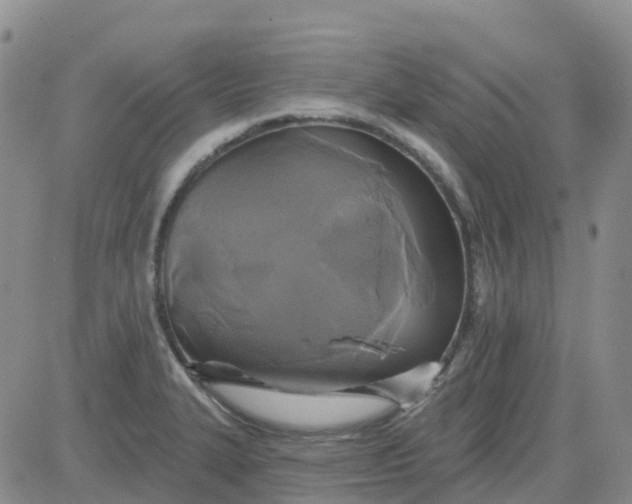 X0000084021327200703022047