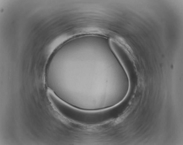 X0000084021328200703022047