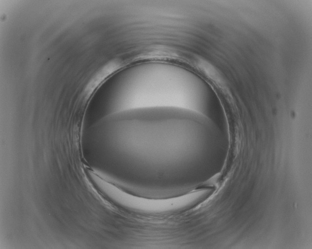 X0000084021329200703022047