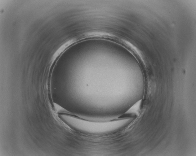 X0000084021330200703022047