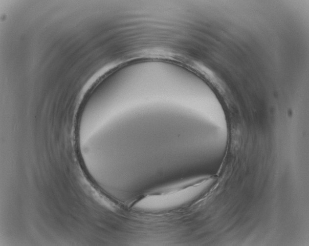 X0000084021331200703022047