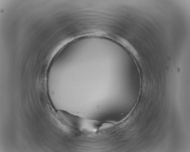 X0000084021332200703022047