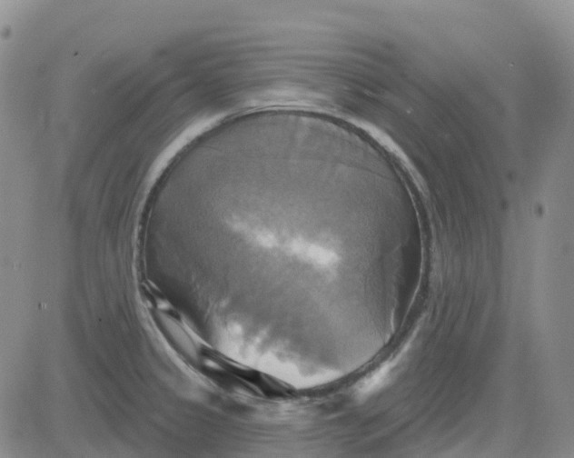 X0000084021333200703022047