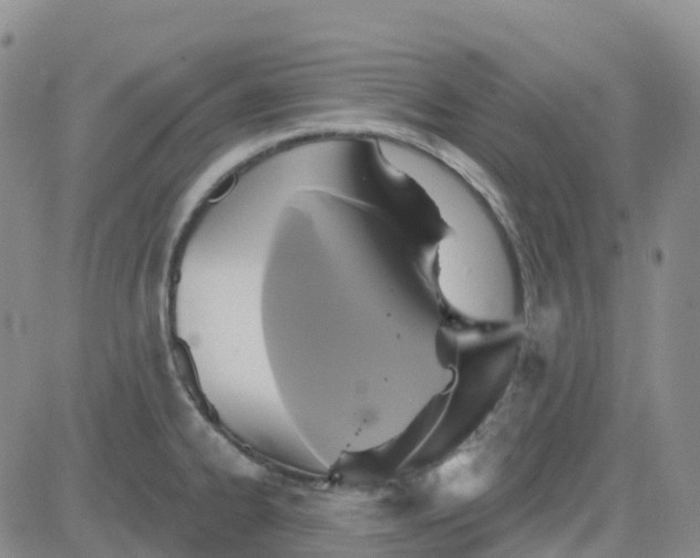 X0000084021334200703022047