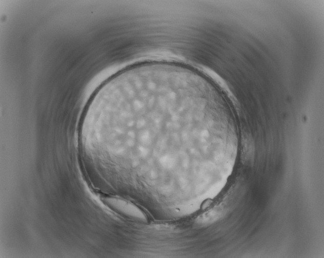 X0000084021335200703022047