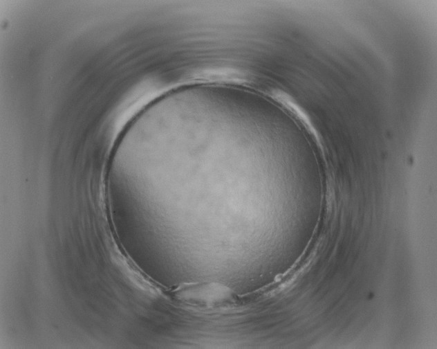 X0000084021336200703022047