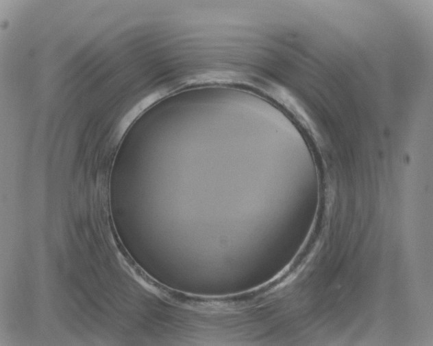 X0000084021337200703022047