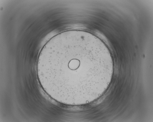 X0000084021338200703022047