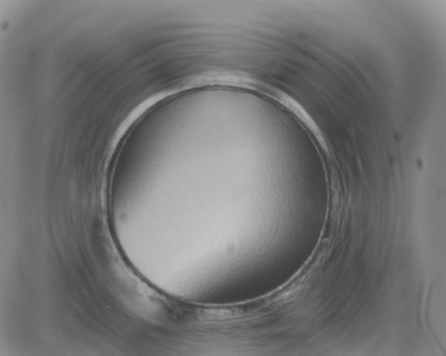 X0000084021339200703022047