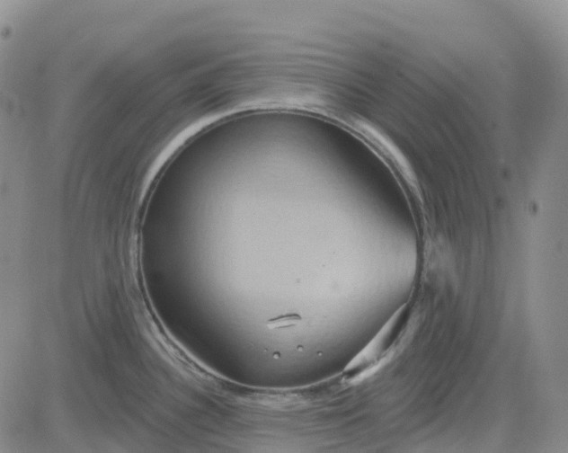 X0000084021340200703022047