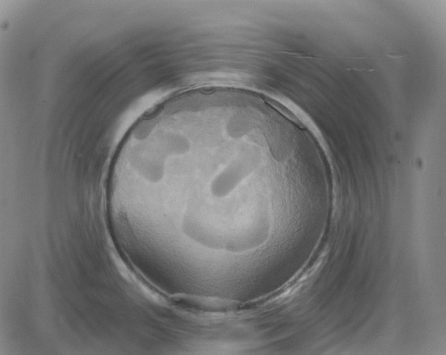 X0000084021341200703022047