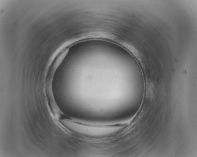 X0000084021342200703022047