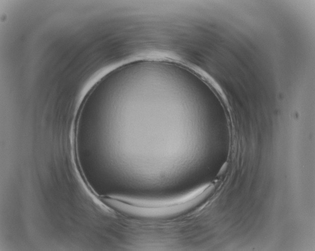 X0000084021343200703022047